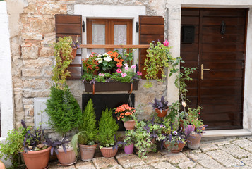 Fototapeta na wymiar Blumenfenster in Bale, Istrien, Kroatien