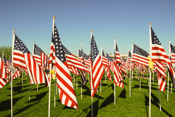 US flags in honor of 911