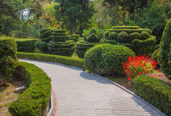 Beautiful garden with hedges