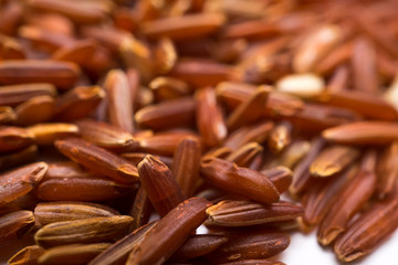 red rice 1