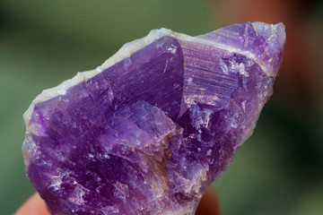 purple amethyst on green background
