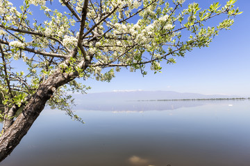 Kerkini lake and mountain eco-area at north Greece by Struma riv