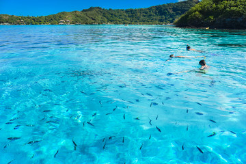 Snorkling a Bora Bora