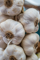 Knoblauch aufgehängt