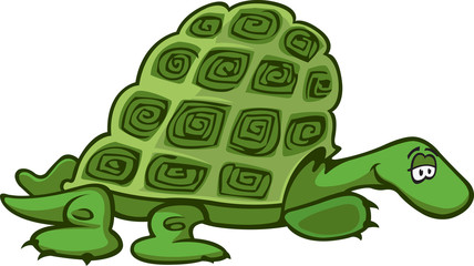 A cartoon Green Turtle. Vector and high resolution jpeg files available.