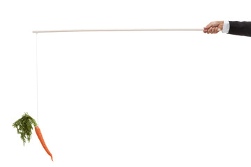 Hand holding a stick with a string and a carrot