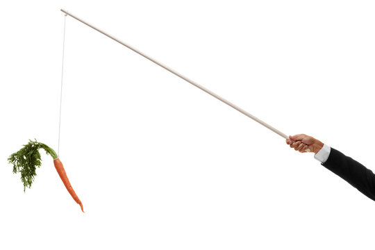 Carrot hanging on the end of an angled stick