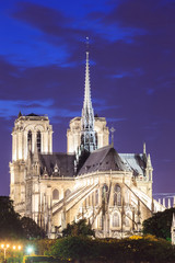 Obraz na płótnie Canvas Cathedral Notre Dame de Paris in Paris