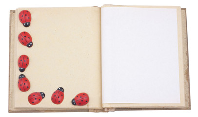 Empty photo album with lady beetle