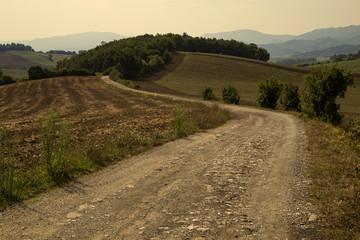 Fototapeta na wymiar Tuscan Hills