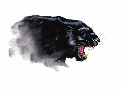 panther roaring