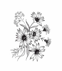 Beautiful monochrome, black and white flower isolated. Hand