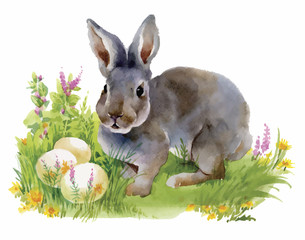 Watercolor rabbits in green grass vector illustration