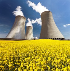 Cooling tower and rapeseed field