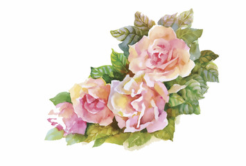 Watercolor flowers in classical style on a white background