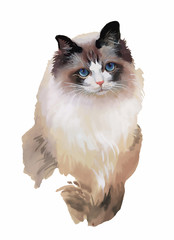 Watercolor portrait of cat illustration vector