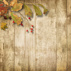 Naklejka na ściany i meble wooden background with autumn leaves and rowan
