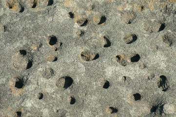 Sea rock surface closeup detail as background