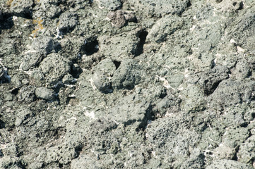 Sea rock surface closeup detail as background
