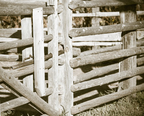 Detail of Old Wood and Metal Livestock Chute Rural America (Anti