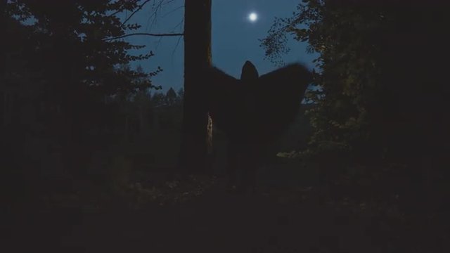 The figure of a man with a cloth that flutters in the woods
