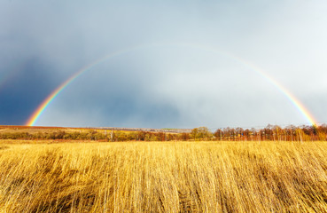 Beautiful Full Rainbow above Farm Field at Spring