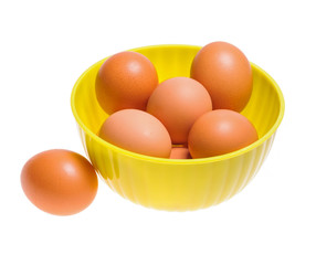 Куриные яйца в пластиковой миске