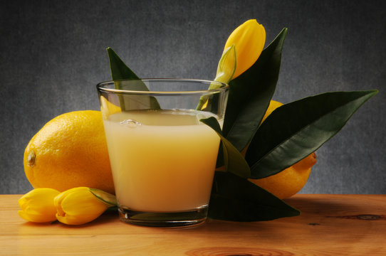Citrus &times; limon Suurlemoen Zitrone Limone Citronnier Կիտրոն ليمون Cytryna zwyczajna Лимон לימון