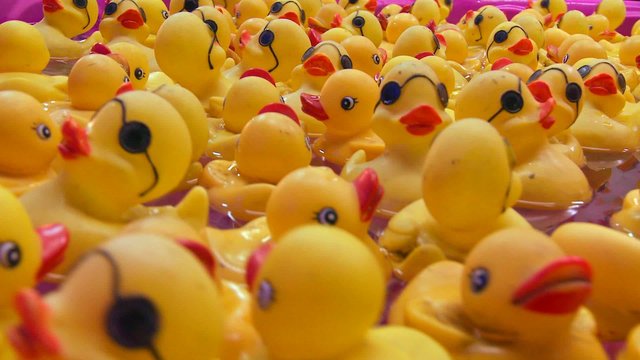 Rubber duckies float in a pool at a carnival.