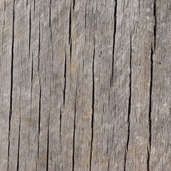 Worn and Weathered Vertical Grained Wood Background