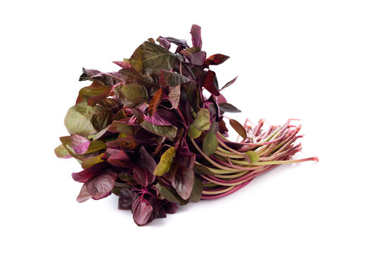 fresh Red spinach or red amaranth on white background