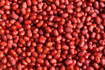 Background of red dates in daylight on a sunny day