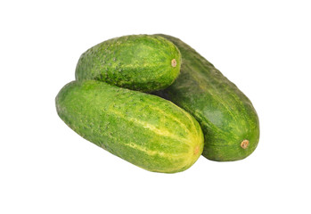 Fresh green cucumber gherkin, isolated on a white background