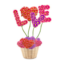 Flower alphabet,Love