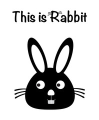 This is rabbit, rabbit vector, cute rabbit. isolated background, bunny