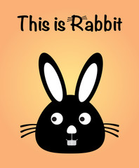 This is rabbit, bunny vector, cute rabbit colorful. orange background