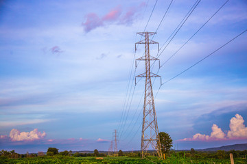 Obraz premium electricity high voltage power post in paddy field