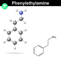 Phenylethylamine molecule