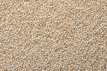 Closeup raw amaranth seed