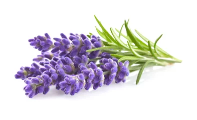 Keuken spatwand met foto Lavendel bloemen © Dionisvera