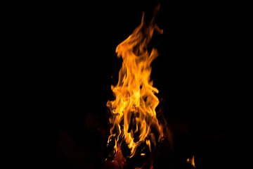 Fototapeta premium Fire flames on black background.