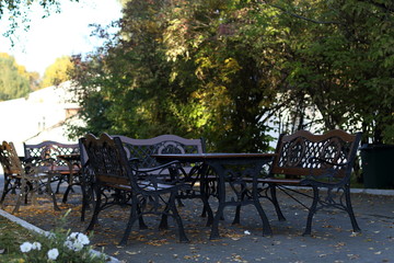 Obraz premium relaxing in the shade