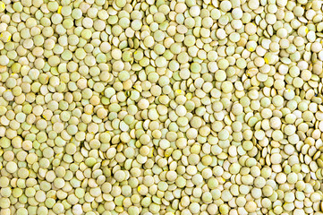 raw lentil background