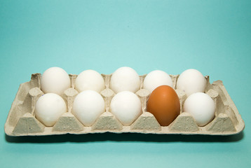 Chicken eggs of different colors in the package for sale