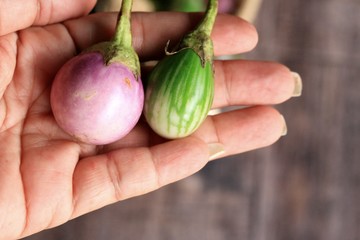 fresh eggplant