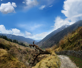 Naklejka na ściany i meble valley in the Himalayas
