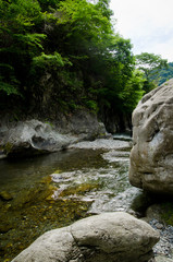 Fototapeta na wymiar Mountain stream and the rock face of Okutama
