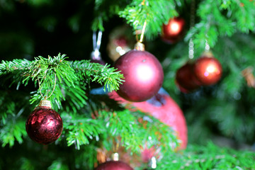 decorated Christmas tree balls