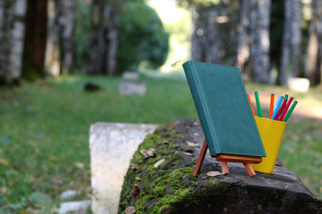 books on a bench in the school year