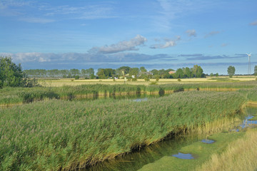 Naturlandschaft bei Lemkenhafen,Ostsee,Insel Fehmarn,Deutschland